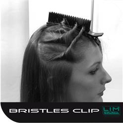 hajcsat bristles 1 clip